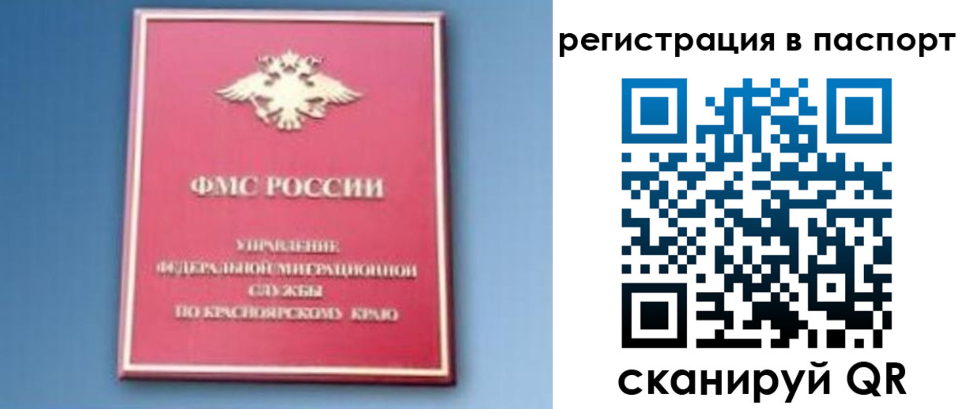 регистрация в Борзе