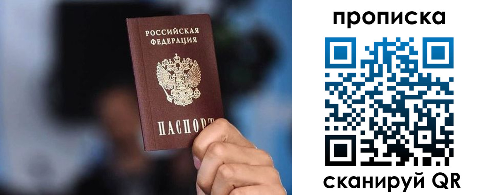 прописка законно в Борзе